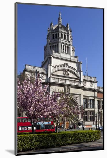 Victoria and Albert Museum with Cherry Blossom Trees-Stuart Black-Mounted Photographic Print