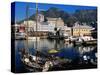 Victoria and Alfred Waterfront, Cape Town, South Africa-Ariadne Van Zandbergen-Stretched Canvas