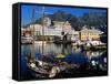 Victoria and Alfred Waterfront, Cape Town, South Africa-Ariadne Van Zandbergen-Framed Stretched Canvas