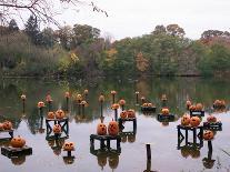 This Water Based Jack-O-Lantern Display in the Halloween Spectacular-Victoria Arocho-Mounted Photographic Print