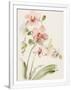 Gramercy White