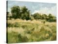 Stretched Canvas