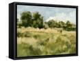 Canvas Black