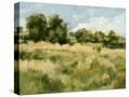 Stretched Canvas