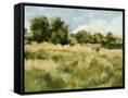 Canvas Black
