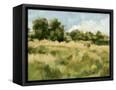 Canvas Black