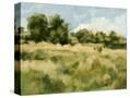 Stretched Canvas