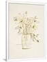 Gramercy White