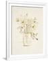 Gramercy White
