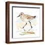 Brown Frame
