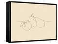 Canvas Black