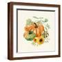 Brown Frame