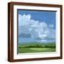 Brown Frame