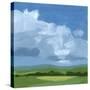 Stretched Canvas