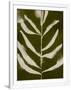 Gramercy White