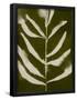 Essential Black