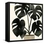 Canvas Black