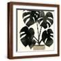 Brown Frame