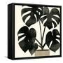 Canvas Black