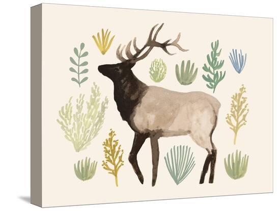 Stretched Canvas Print, , large