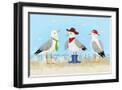 Black Frame