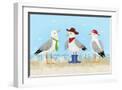 White Frame