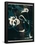Essential Black