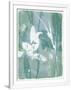 Gramercy White