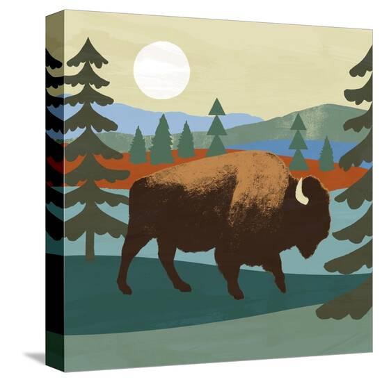Stretched Canvas Print, , large