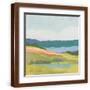Brown Frame