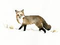 Laminate