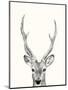 Wood Mount