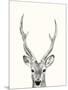 Wood Mount