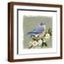 Brown Frame