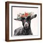 Brown Frame