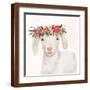 Brown Frame