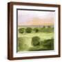 Brown Frame