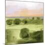 Wood Mount