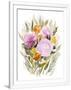 Gramercy White