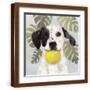 Brown Frame
