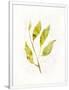 Gramercy White