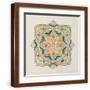 Brown Frame