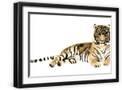 Black Frame