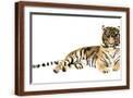Brown Frame
