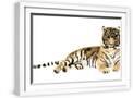 White Frame