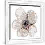 Gramercy White