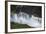 Victoria Falls and Zambezi River, Zimbabwe/Zambia border-David Wall-Framed Photographic Print