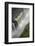 Victoria Falls and Zambezi River, Zimbabwe/Zambia border-David Wall-Framed Photographic Print