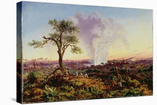 Victoria Falls at Sunrise, with The Smoke, c.1863-Thomas Baines-Stretched Canvas