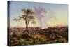 Victoria Falls at Sunrise, with The Smoke, c.1863-Thomas Baines-Stretched Canvas